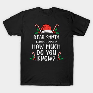 Dear Santa I Can Explain Funny Christmas Pajama Adults Kids T-Shirt